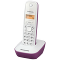 Panasonic - KX-TG1611FXF
