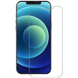 Zaštitno staklo iPhone 12 / 12 Pro 6,1 9H