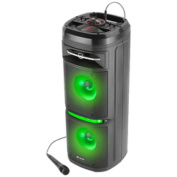 Zvučnik bežični, Bluetooth, FM radio, microSD, USB, 40 W