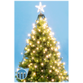 home - LKD 200 TREE