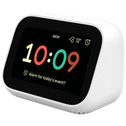 Pametni 4 inch zaslon, sat, WiFi, Bluetooth, Google Assistant