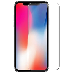 Zaštitno staklo iPhone X/XS/11/ 11 Pro TG